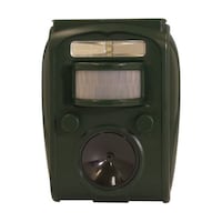 �O���[���N���X�@�\�[���[�A�j�}���u���b�N�@�g�T�O�P�@�U�R�O�O�O�P�O�S�O�O