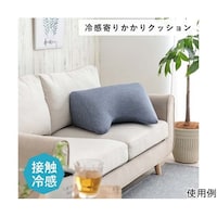 アズワン 冷感寄りかかりクッション 約55×35×25cm 1223660191001 1223660191001 1個