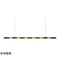 �A�Y�����@���������o�[