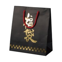 アズワン 手提げ紙袋 福袋 福ノワール 26×13×30cm 10枚入 3815191 3815191 1個