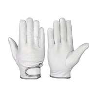 �V�����@���M�v���