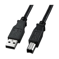 サンワサプライ USB2.0ケーブル KU202BKK2