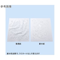 サンワサプライ カラーレーザー用 耐水紙・標準 A3サイズ LBPWPF12MDPNA3