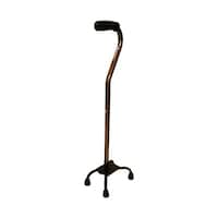 フジホーム 四点杖