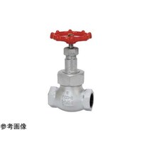 ���m�o�����@�_�N�^�C���@�O���[�u�i�Q�O�[�c�f�[�m�j