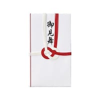 アズワン お見舞い用袋(10枚) EA762GC121 EA762GC121 1パック