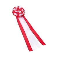 �z���x�C����ށ@�L��