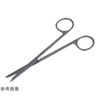 ���{�t���b�c���f�B�R�@�㔽�������n