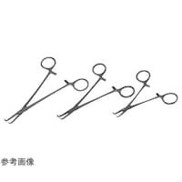 ���{�t���b�c���f�B�R�@�W�F�~�j��q