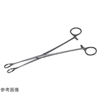 ���{�t���b�c���f�B�R�@�t�H���X�^�[��q