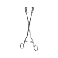 ���{�t���b�c���f�B�R�@�l�܊b�q�{�c����q