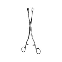 ���{�t���b�c���f�B�R�@�m�[�g�q�{��q�@�f�R�U�O�Q�V�O�@�f�R�U�O�Q�V�O�@�P�{