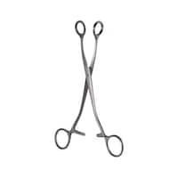 ���{�t���b�c���f�B�R�@�h�����q�{��q�@�f�R�U�Q�Q�O�O�@�f�R�U�Q�Q�O�O�@�P�{