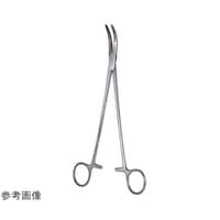 ���{�t���b�c���f�B�R�@���j�n���q�{�E�o��q