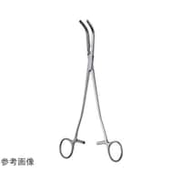 ���{�t���b�c���f�B�R�@���W���[�Y�������q�{�E�o��q