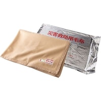 難燃性フリース毛布 10枚組 69308836 1箱