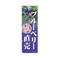 P・O・Pプロダクツ のぼり ブルーベリー直売 54994 1枚