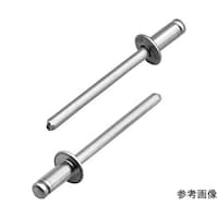 エビ印 ブラインドリベット(1000本入) NA56A NA56A 1箱