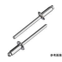 エビ印 ブラインドリベット(1000本入) NST34A NST34A 1箱