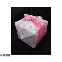 fBJ@sDzC~@@g~@XO~XO@PP[XiPOO~Vܓj@UXTSWSWX@PP[X