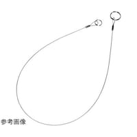 �J�l�^����@�{�[���y����t�p�X�e�����X���C���[�@�T�O�����@�r�v�T