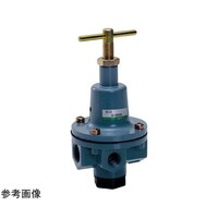 CKD レギュレータ B20191CP B20191CP 1パック