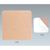 �A���P�A�@�J�����v���X�g�@�Q�O���@�T���@�P�Q�T�S�Q