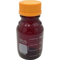 �R�[�j���O�@�`�r�@�o�x�q�d�w���f�B�E���Ռ��r�@�Q�T�O���k