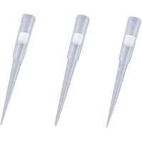 �s�����������@�r�������������������`�q�s�@�`�r�@�t�B���^�[�`�b�v�@�Q�O�U�X�g�q�@�i�X�U�O�{���j