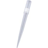 �s�����������@�r�������������������`�q�s�@�`�r�@�t�B���^�[�`�b�v�@�Q�P�V�X�g�q�@�i�V�U�W�{���j