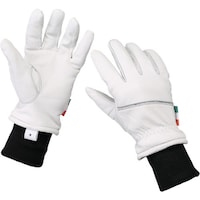 ���j�b�g�@���j�b�g�@�h���ؔ��܃W���[�W�t�@�v�s�W�Q�X�@�P�o