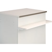 タテヤマアドバンス タテヤマアドバンス LG前面棚セット 60cm 0F0162 1枚