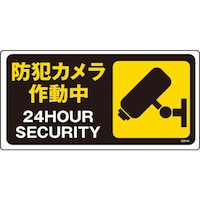 �O���[���N���X�@�O���[���N���X�@�}���K�W���@�f�d�l�W�P�@�h�ƃJ������ƒ�