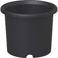 �A�C���X�I�[���}�@�h�q�h�r�@�Q�Q�V�V�U�P�@�e���@�O���[�@�U��