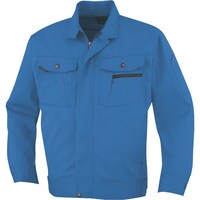 �R�[�R�X�M���@�R�[�R�X�@���̃J�b�g�u���]���@�U�u���[�@�k�k�@�`�r�P�X�R�O�U�k�k�@�P��