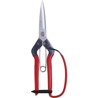 �ߐ��@�`�J�}�T�@���t��