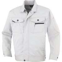 �R�[�R�X�M���@�R�[�R�X�@���̃J�b�g�u���]���@�R�V���o�[�@�k�k�@�`�r�P�X�R�O�R�k�k�@�P��