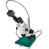 �z�[�U���@�g�n�y�`�m�@���̌������@�k�j�h�s�U�Q�P�@�P�r