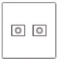 パナソニックEWネッ Panasonic コスモワイド新金属電話プレート2連