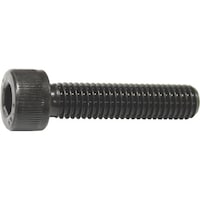 �R�m�G�@�R�m�G�@�Z�p���t�{���g�S�˂��@�l�R�O���W�O�i�U�{���j