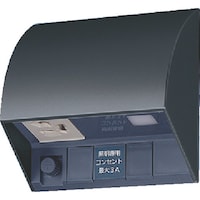 パナソニックEWネッ Panasonic スマート電子EEスイッチ付防水コンセント EE4553B 1個