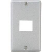 パナソニックEWネッ Panasonic フルカラー新金属大型プレート1コ用