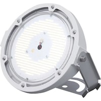 アイリスオーヤマ IRIS 273556 高天井用LED照明 投光器タイプ 10000lm 昼白色 (5000) 防塵・防水 LDRSP58N110BS 1台