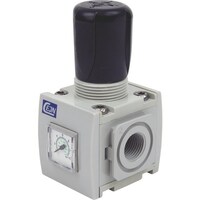 セインジャパン CEJN レギュレーター 651型 G1/4