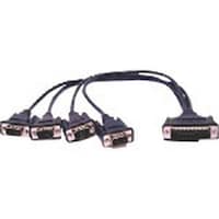 �A�C�r�[�G�X�W���@�l�n�w�`�@�c�a�S�S�I�X�^�c�a�X�I�X�~�S�@�P�[�u���@�T�O����