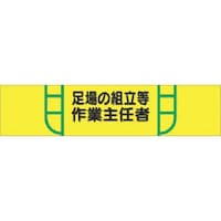 �����H�[�@�����@�w���A�r�́@����̑g������Ǝ�C��