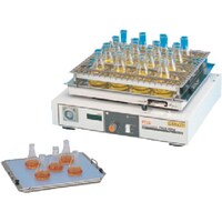 �����Ɏq��B�@�s�f�j�@�m�w�p�X�v�����O�Uṑ�@�a�^�@�U�X�Q�U�R�S�Q�Q�R�@�P��