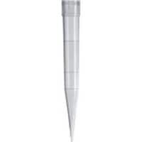 �����Ɏq��B�@�s�f�j�@�`�b�v�@�T�O�P�O�O�O�ʂk�@�@���V�R�Q�O�R�Q�i�T�O�O�{�~�Q�j