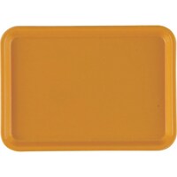 ���������@�s�j�f�@�L�����u���J���g���[�i�e�q�o�j�@�T�V�@�}�X�^�[�h�@�d�j�l�O�P�S�P�@�P��