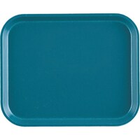 ���������@�s�j�f�@�L�����u���J���g���[�i�e�q�o�j�@�P�O�P�S�@�e�B�[���@�d�j�l�O�P�O�T�@�P��